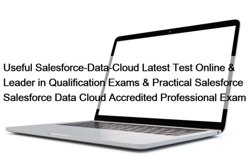 Useful Salesforce-Data-Cloud Latest Test Online & Leader in ...